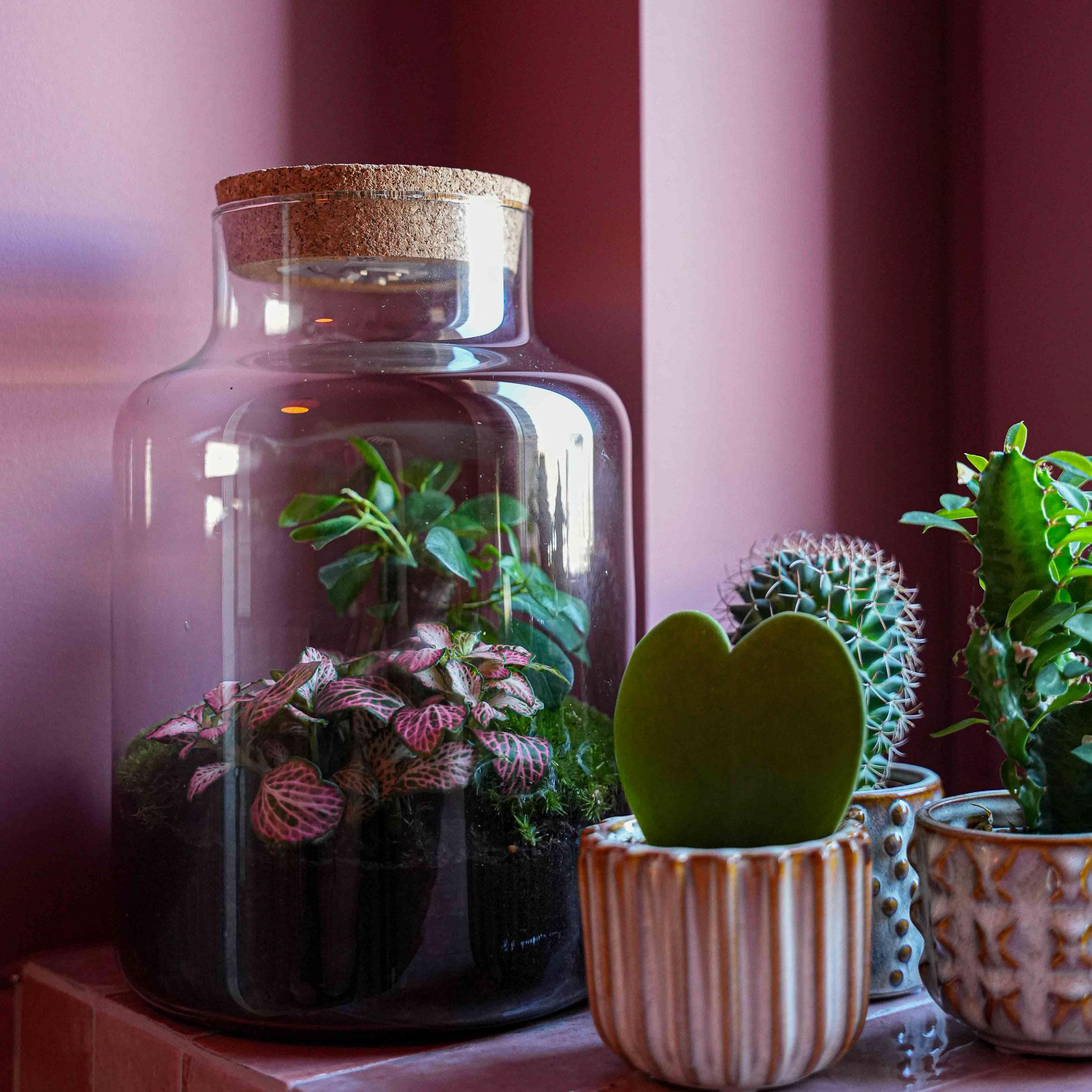 LOVE MOM' terrarium Little Milky + gegraveerde kurk met licht - Fles terrarium DIY kit - Ø 17 cm ↑ 25 cm - Moederdag