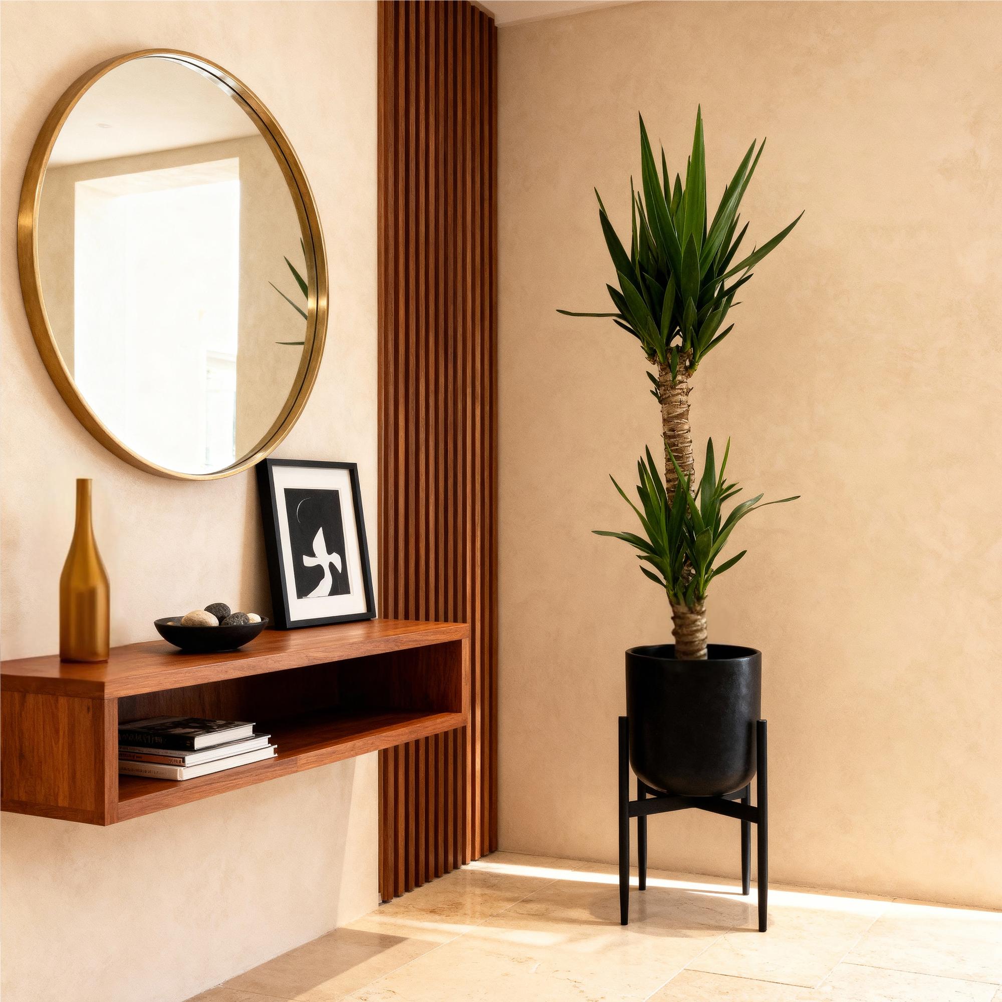 Yucca elephantipes - Weinig onderhoud - Groen - 2 - Pot 19cm - Hoogte 120cm
