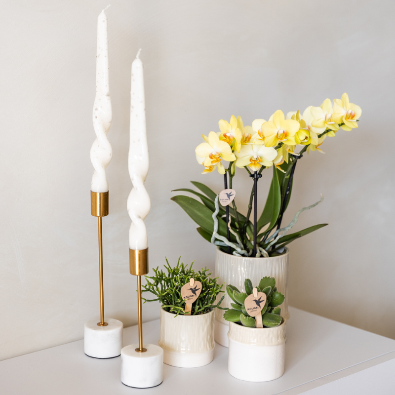 Kolibri Home | Tree sierpot - Travertine - Ø9cm