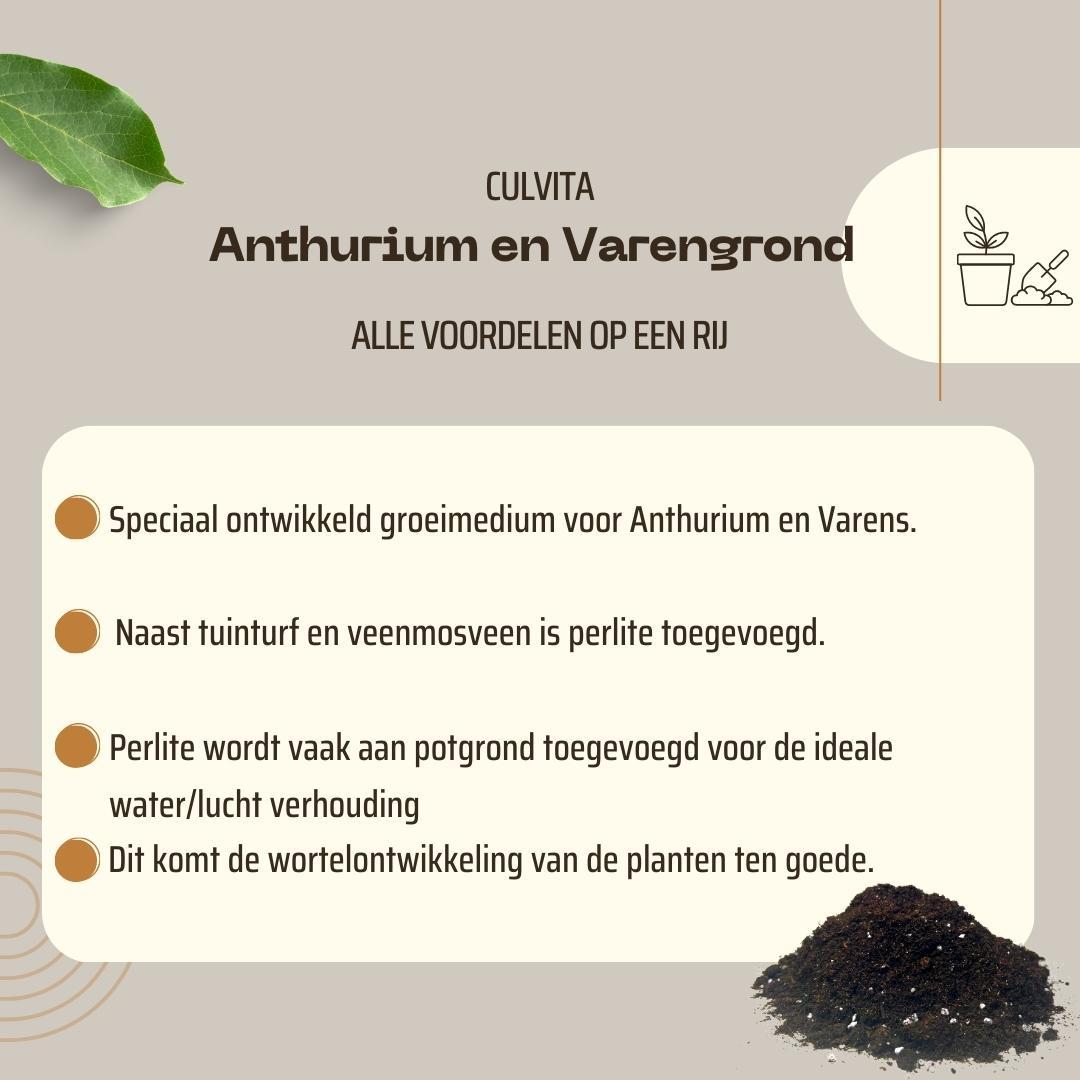 Culvita - Terriccio per Anthurium e Felci 5 litri - terriccio adatto per Anthurium e Felci