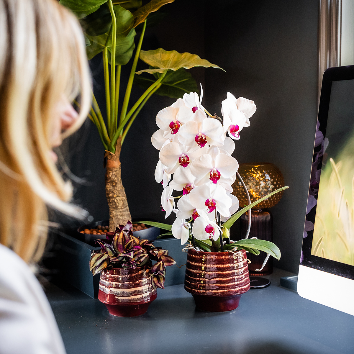 Kolibri Home | Moonstone Burgundy sierpot - Ø9cm