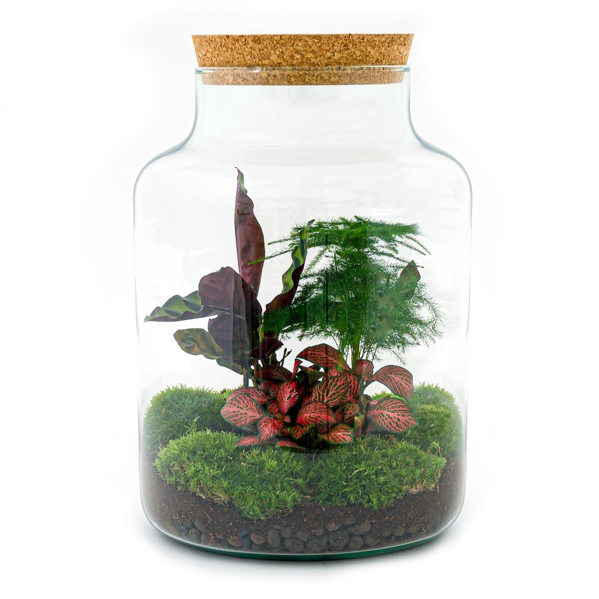 DIY-Terrarium - Milchig - ↕ 30 cm - Rechen + Schaufel