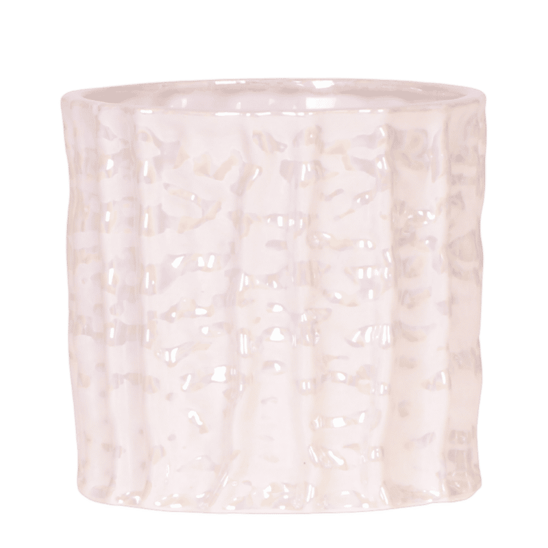 Kolibri Home | Oyster sierpot - Ø12cm