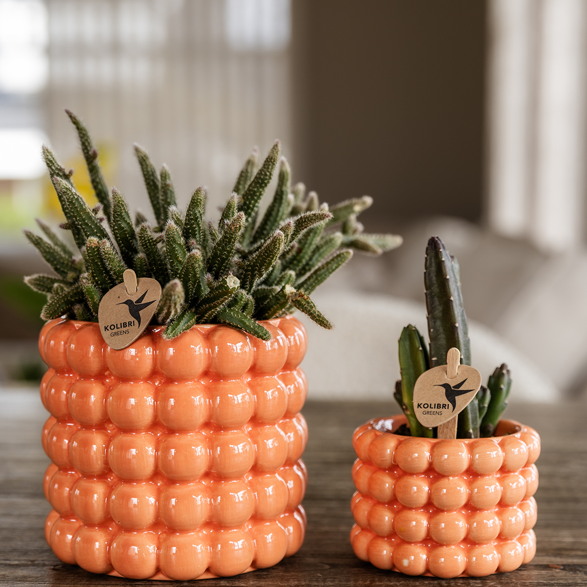 Kolibri Home | Dekorativer Mohnblumentopf – Orange – Ø 6 cm