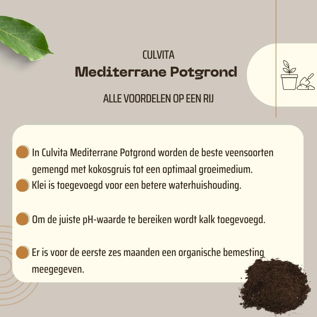 Culvita - Mediterranean Potting Soil 40 Liters including RhizoPlus - potting soil for Mediterranean plants, suitable for olive trees, citrus and palms