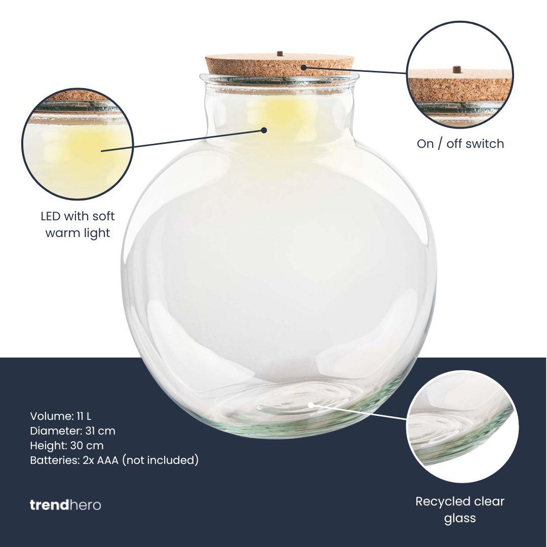 Terrarium bottle with cork - Bolder Bob - Ø 30 cm ↑ 31 cm - Without LED cork