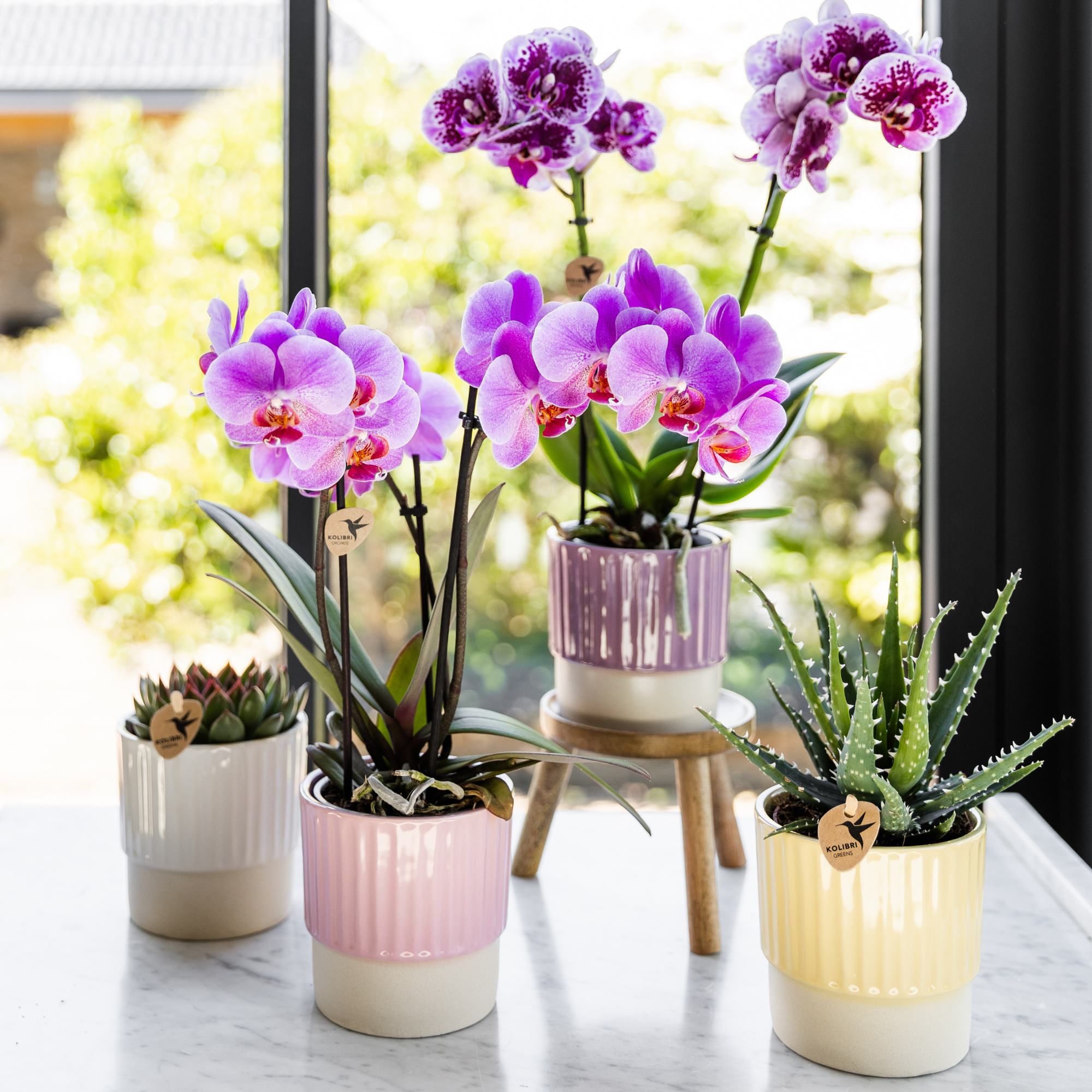 Kolibri Home | Mantequera decorativa - Amarilla