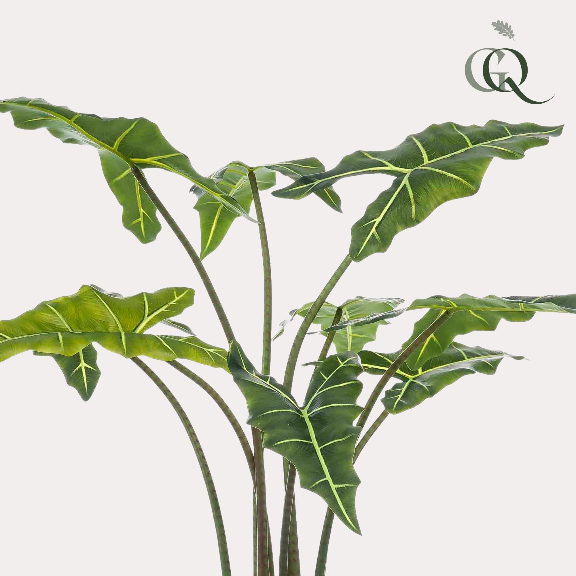 Planta artificial - Alocasia Frydek - Oreja de elefante - 120 cm