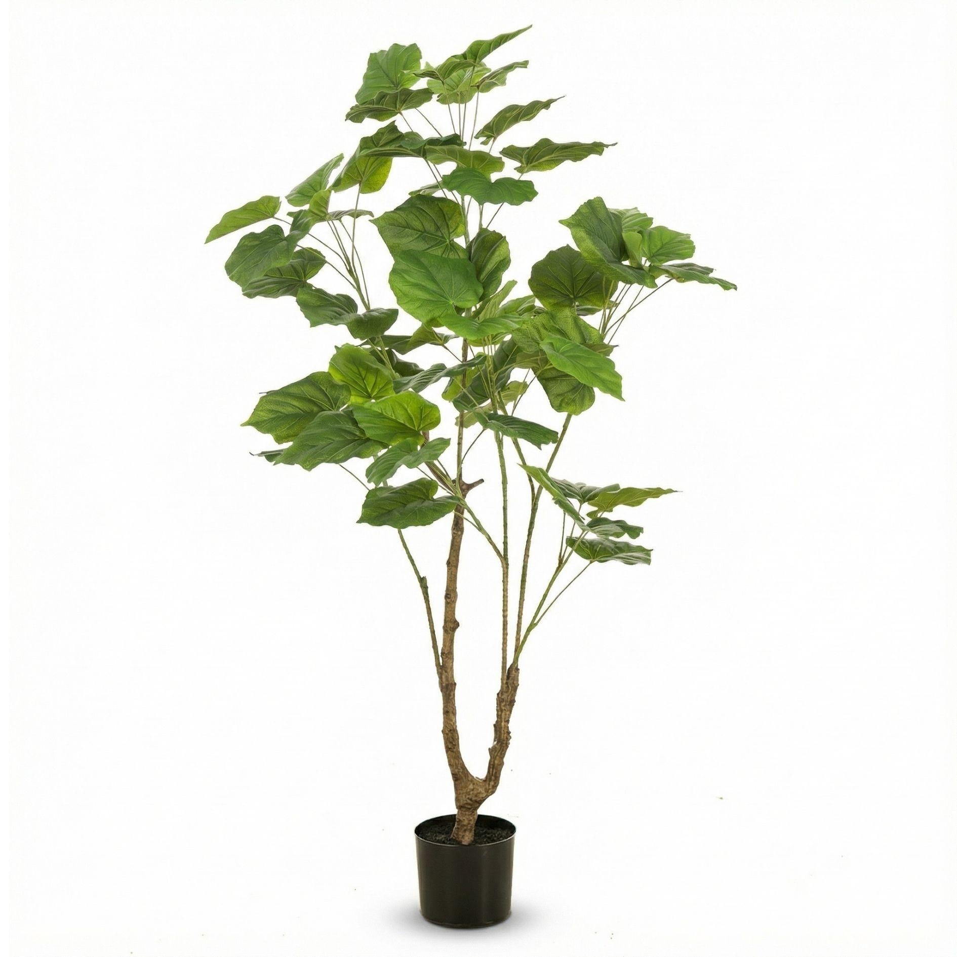 Ficus Schirmbaum 125 cm - Künstliche Pflanze