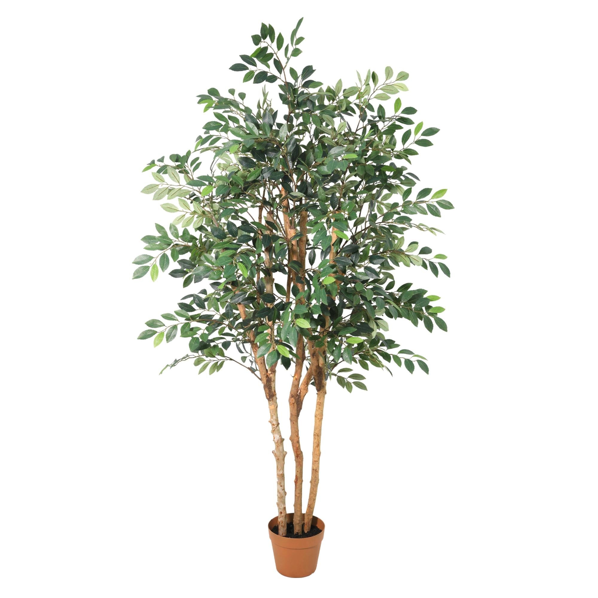 Kunstplant - Ficus Exotica - 150cm