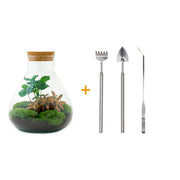 DIY-Terrarium – Sammie Coffea – ↕ 27 cm – Rechen + Schaufel + Pinzette