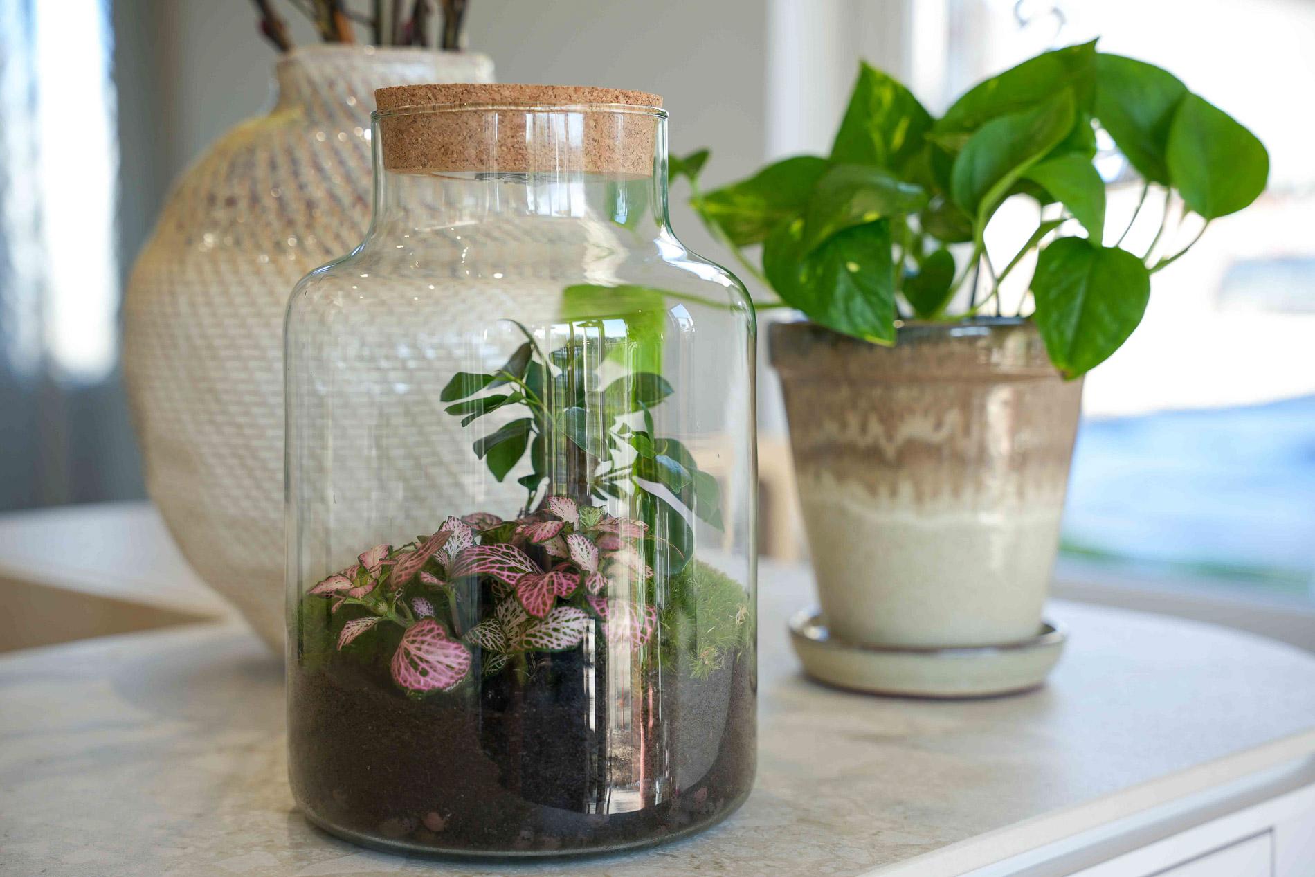 LOVE MOM' terrarium Little Milky + gegraveerde kurk met licht - Fles terrarium DIY kit - Ø 17 cm ↑ 25 cm - Moederdag