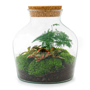 DIY terrarium - Little Joe - ↕ 21.5 cm - Rake + Shovel + Tweezer