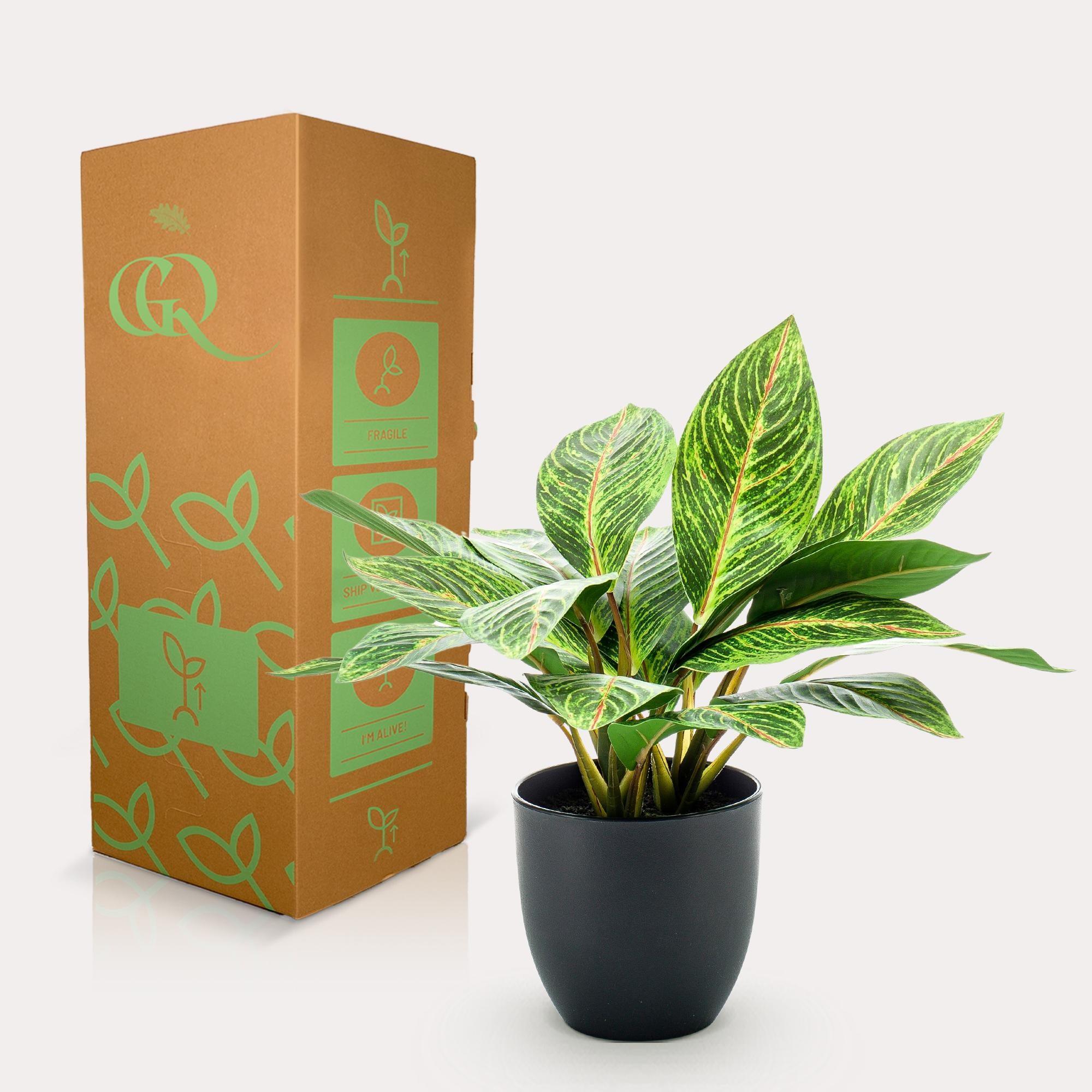 Pianta artificiale - Croton Codiaeum - Arbusto meraviglioso - 38 cm