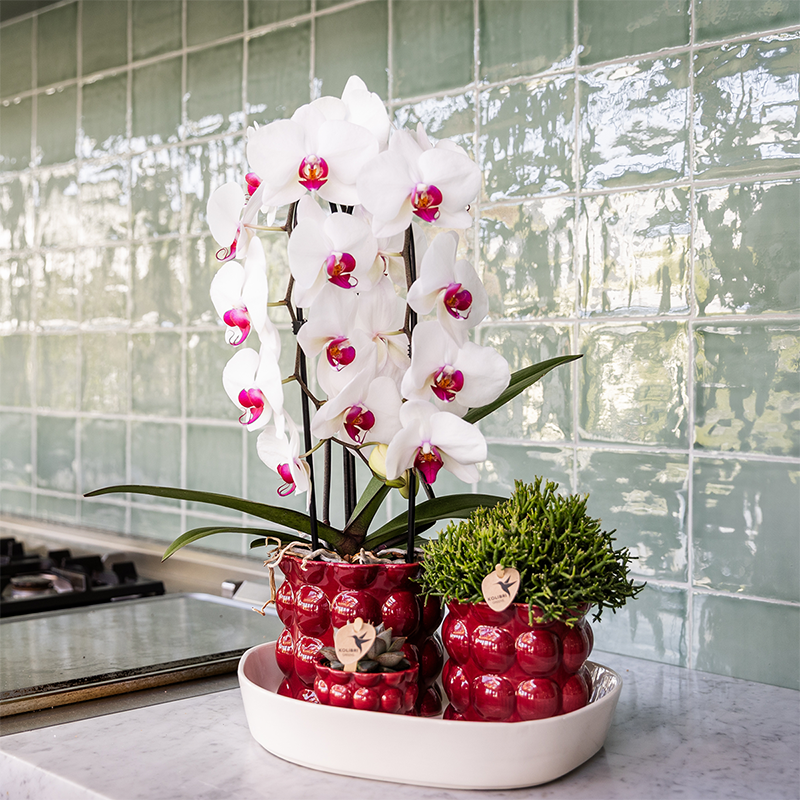 Kolibri Home | Cotton Shine sierpot - Red - Ø6cm