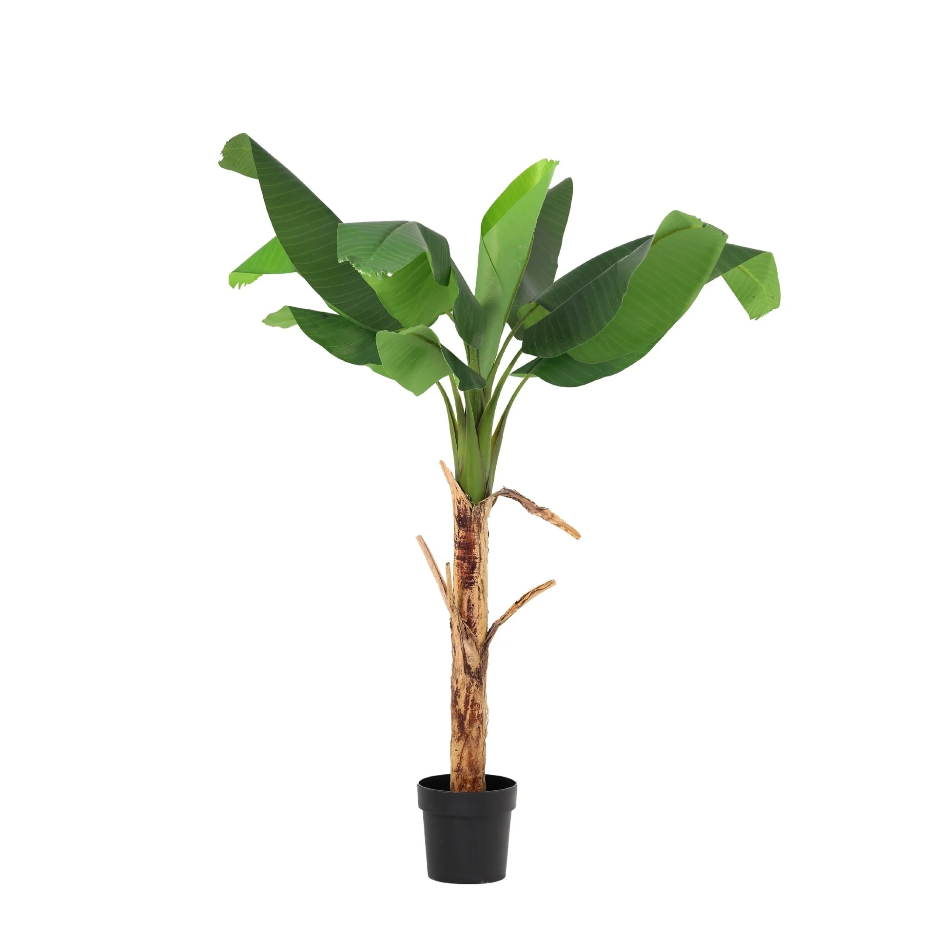 Kunstplant - Bananenplant Musa - 150cm