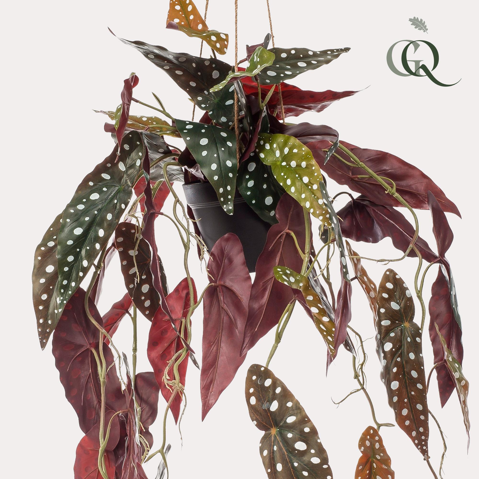 Pianta artificiale - Begonia Maculata - Begonia punteggiata - 80 cm