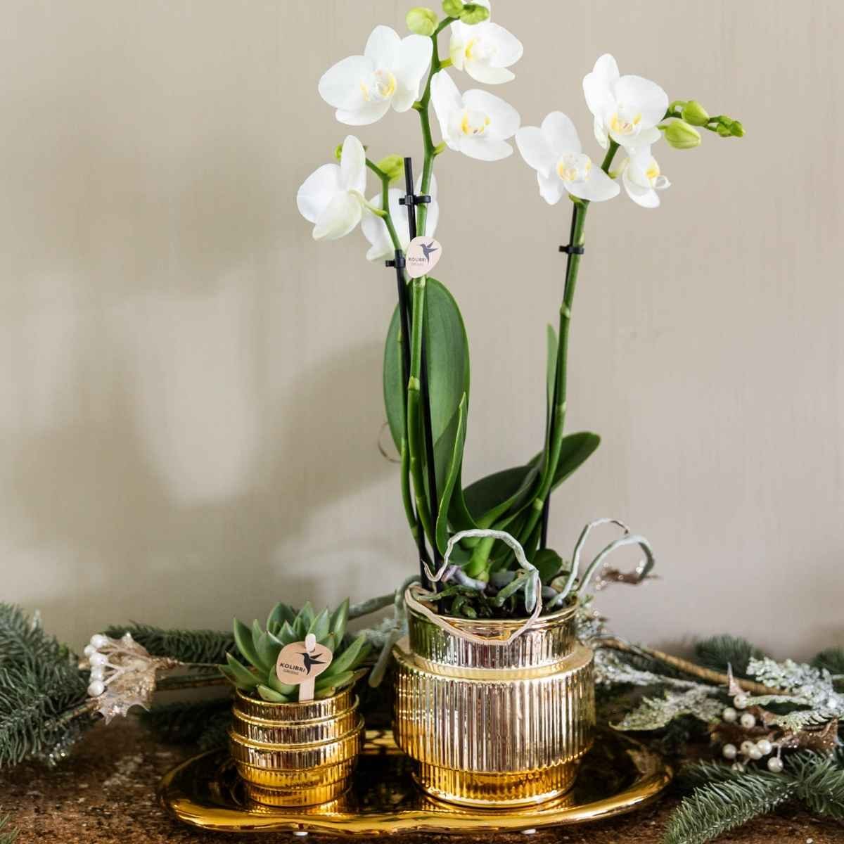 Kolibri Home | Allure Empire Shiny sierpot - Goud - Ø6cm