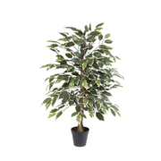 Kunstplant Ficus benjamina variegata - 85cm