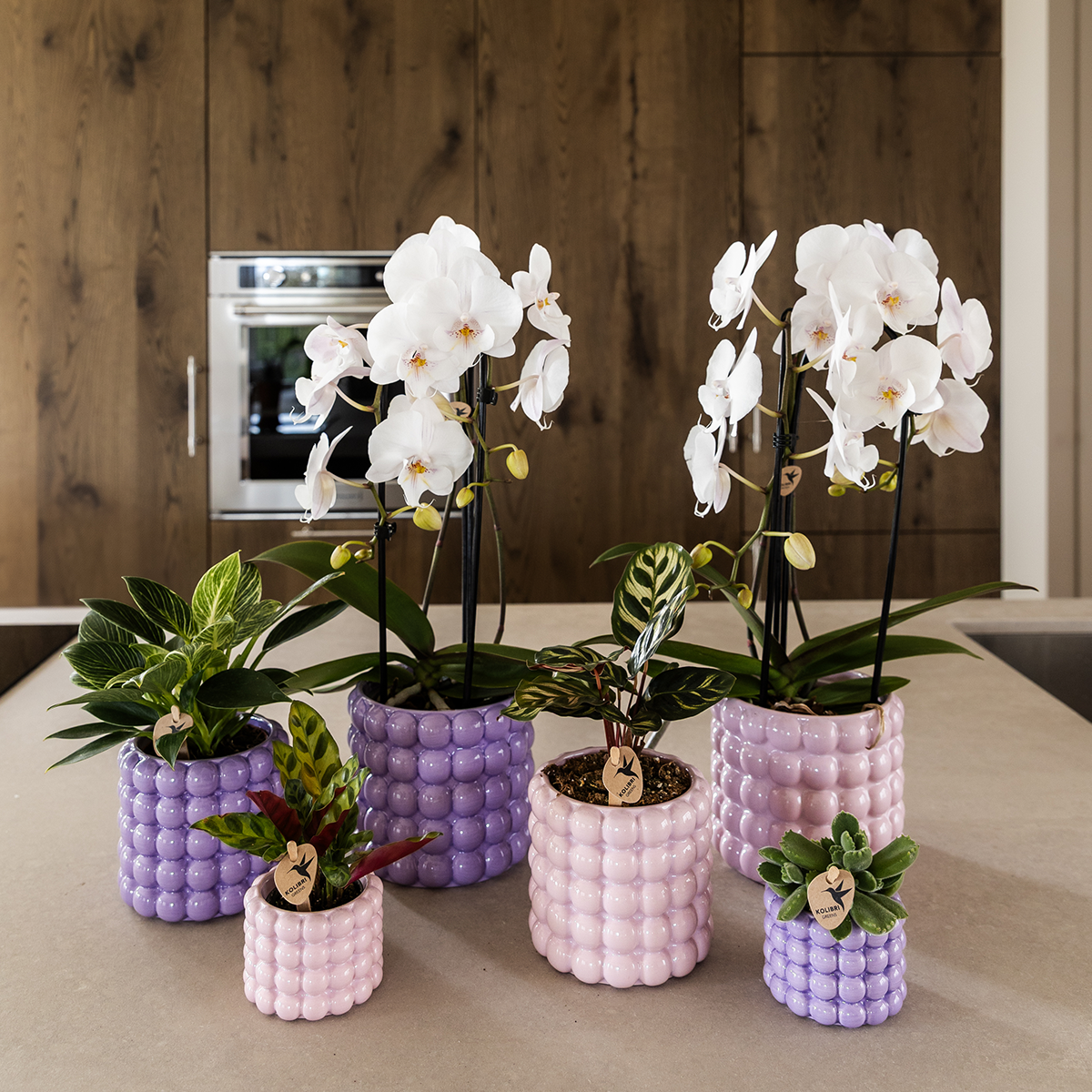 Kolibri Home | Poppy sierpot - Purple - Ø12cm