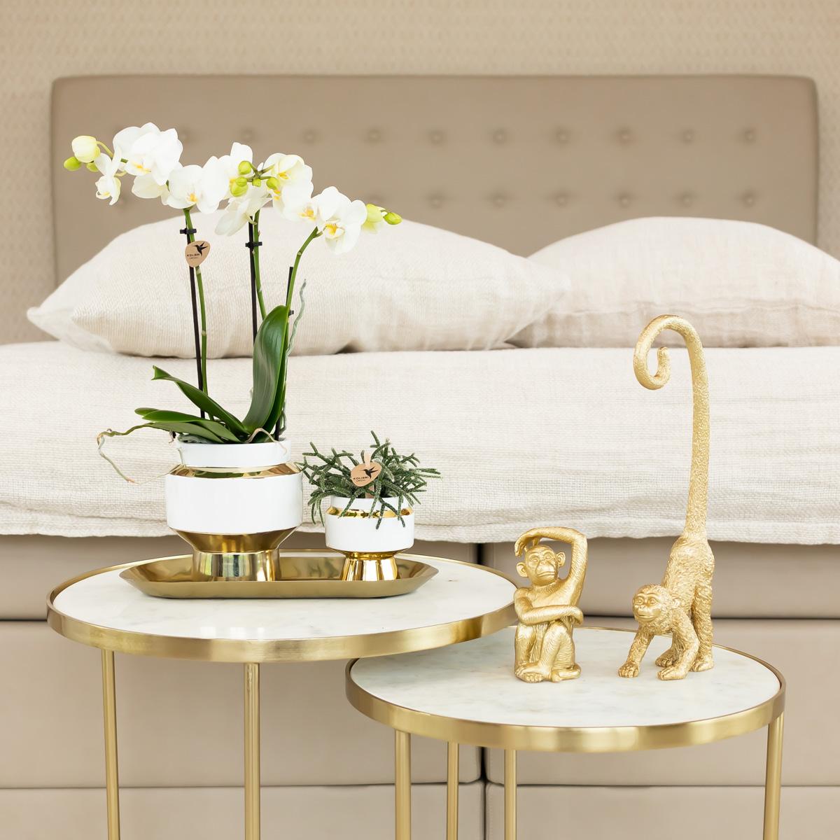 Kolibri Home | Le Chic Blumentopf – Weißer Keramik-Dekorationstopf mit goldenen Details – Ø 9 cm