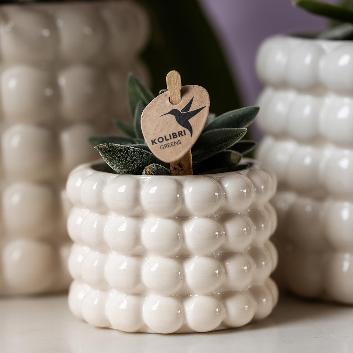 Kolibri Home | Dekorativer Mohnblumentopf – Weiß – Ø 6 cm