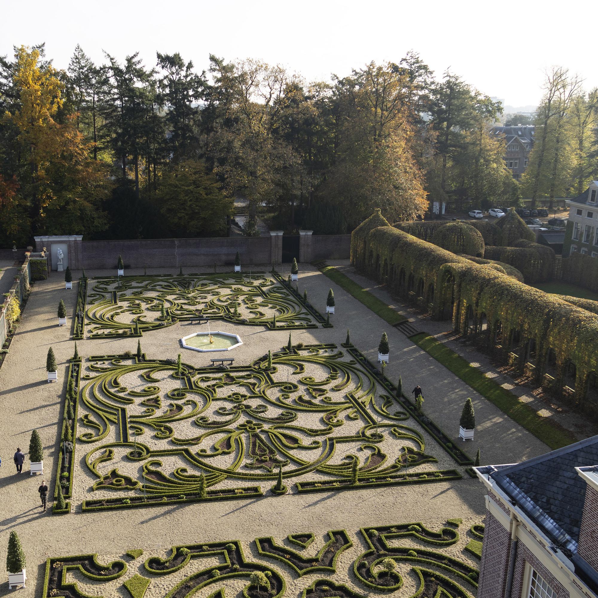 Buxus Haag - BetterBuxus Babylon Beauty - Resistant tegen de Buxus Schimmel - 14 planten - 2 strekkende meter - pot 10,5cm hoogte 25-30