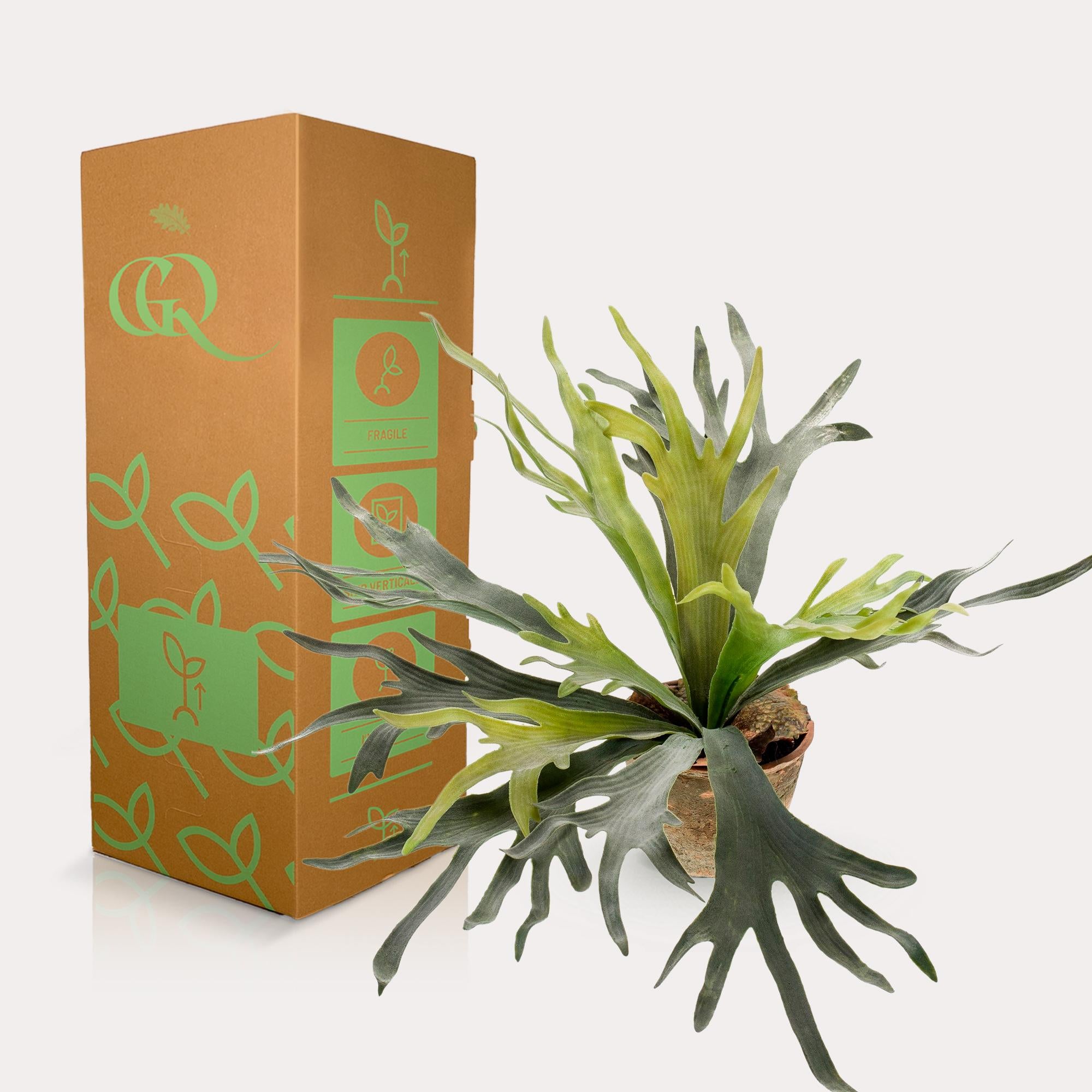 Künstliche Pflanze – Geweihfarn – 50 cm