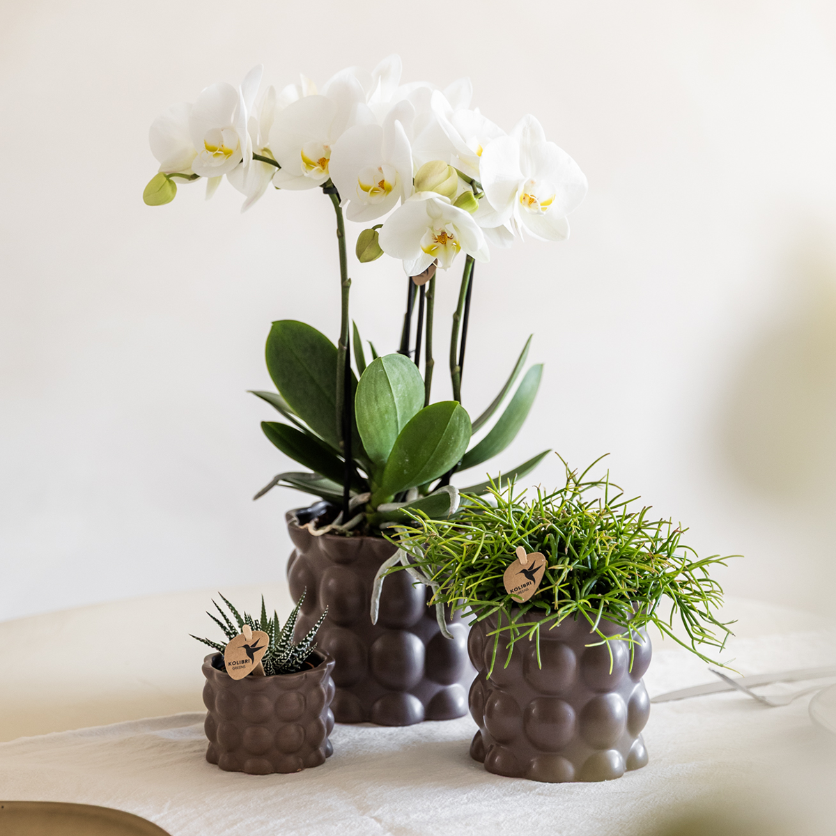 Kolibri Home | Cotton sierpot - Brown - Ø6cm