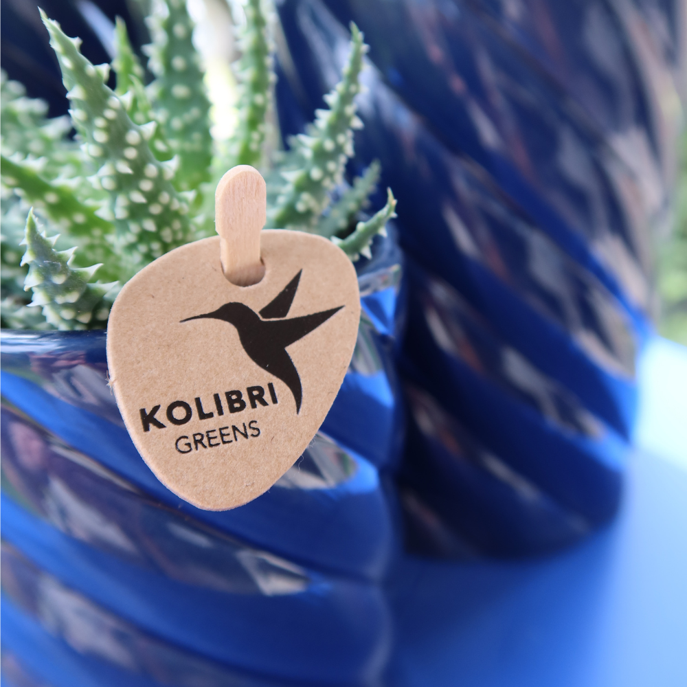 Kolibri Home | Vaso decorativo per caramelle | Alto - Blu - Ø6cm