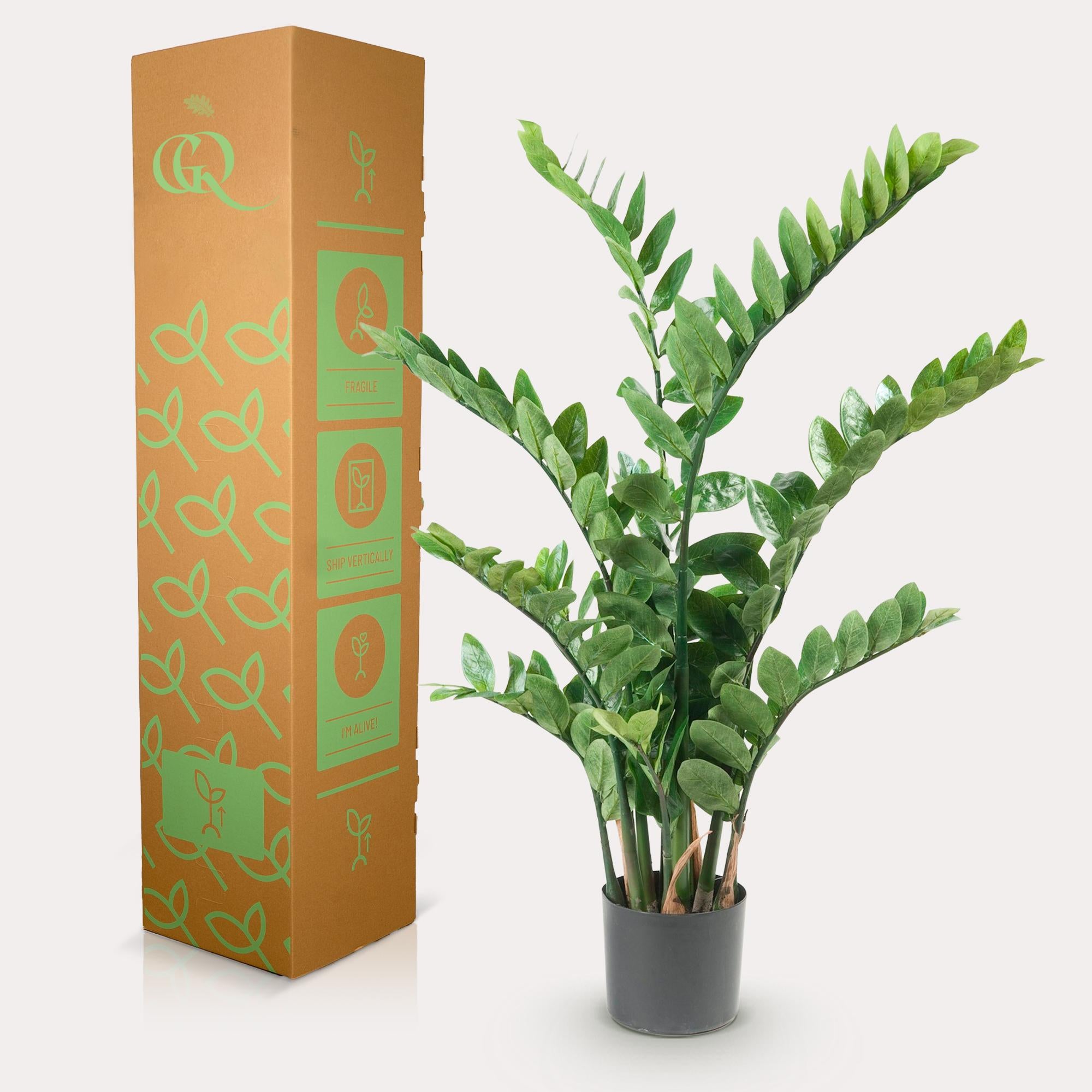 Planta artificial - Zamioculcas - Palmera de interior - 110 cm