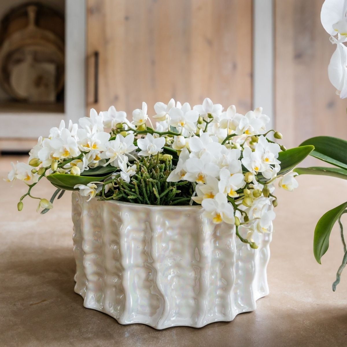 Kolibri Home | Oyster schaal - Ø30 cm
