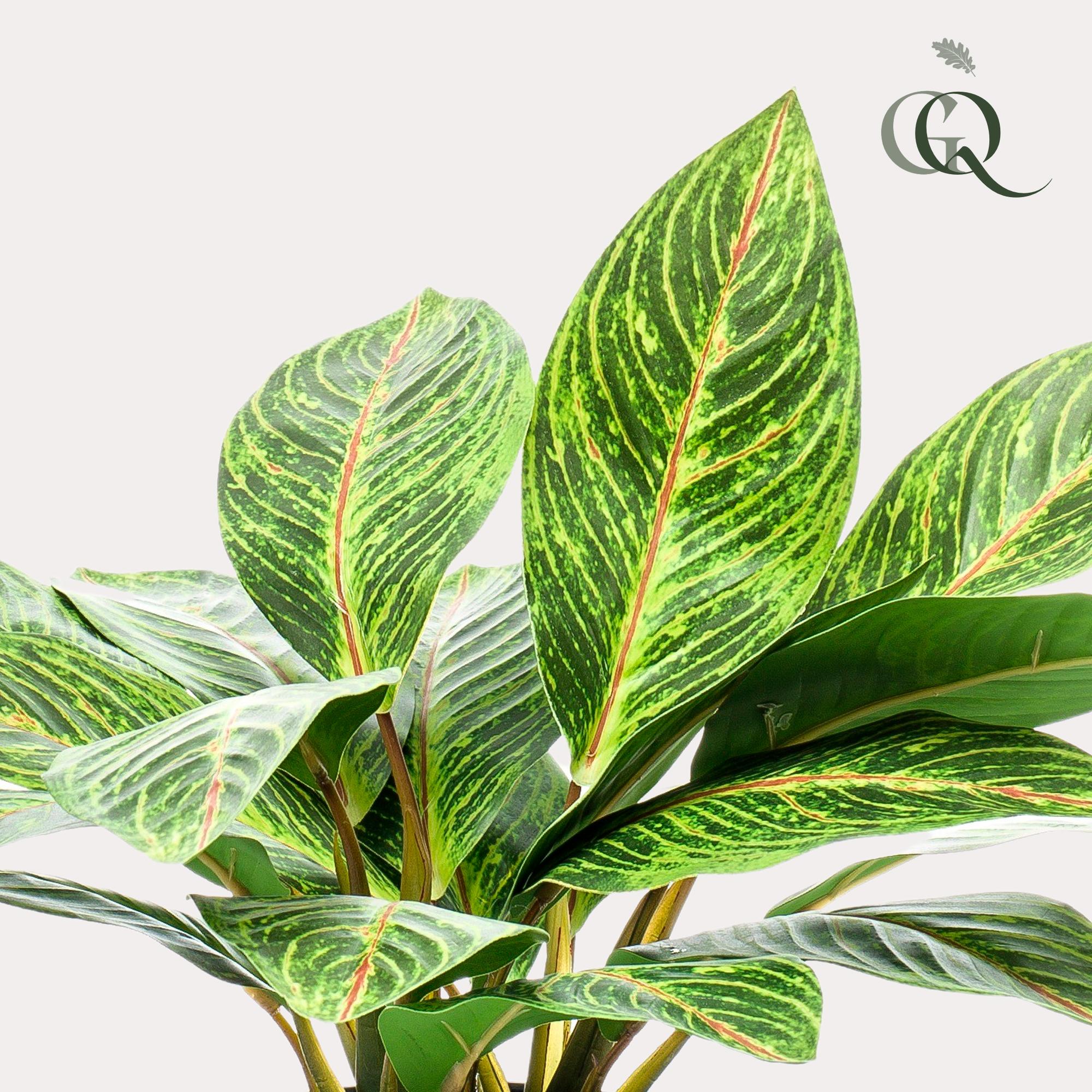 Pianta artificiale - Croton Codiaeum - Arbusto meraviglioso - 38 cm