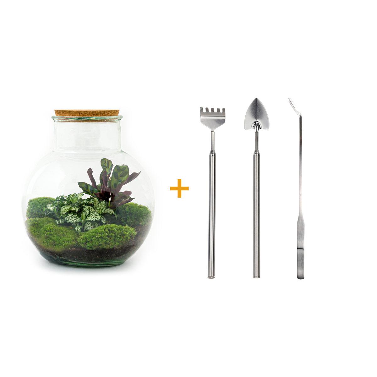 DIY-Terrarium – Teddy – ↕ 26,5 cm – Rechen + Schaufel + Pinzette