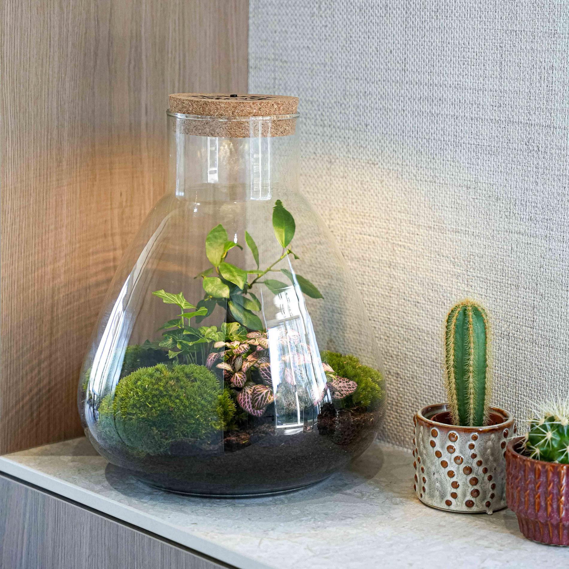 LOVE MOM' terrarium Sam + gegraveerde kurk met licht - Fles terrarium DIY kit - Ø 24.5 cm ↑ 30 cm - Moederdag