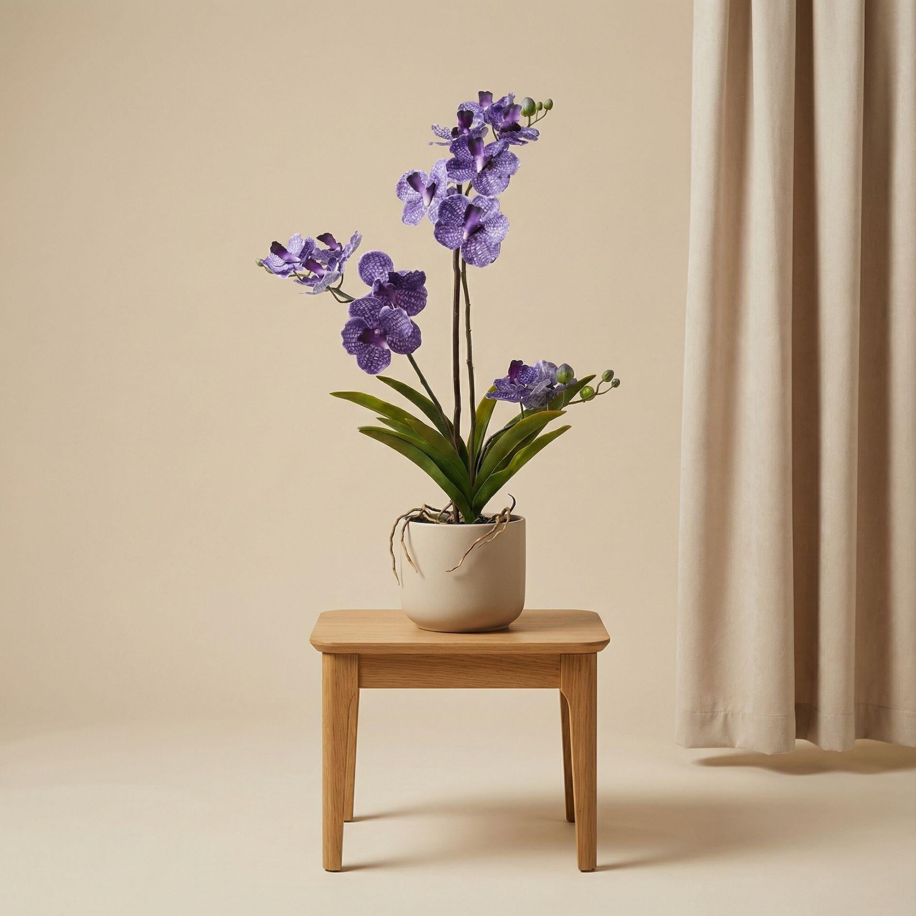 Orchidee Vanda kunstplant 60 cm - Paars - In pot