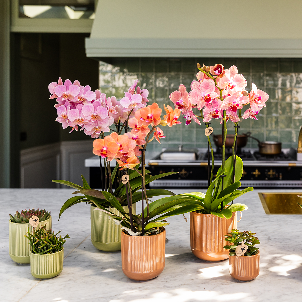 Kolibri Home | Flare sierpot - Ocher - Ø6cm