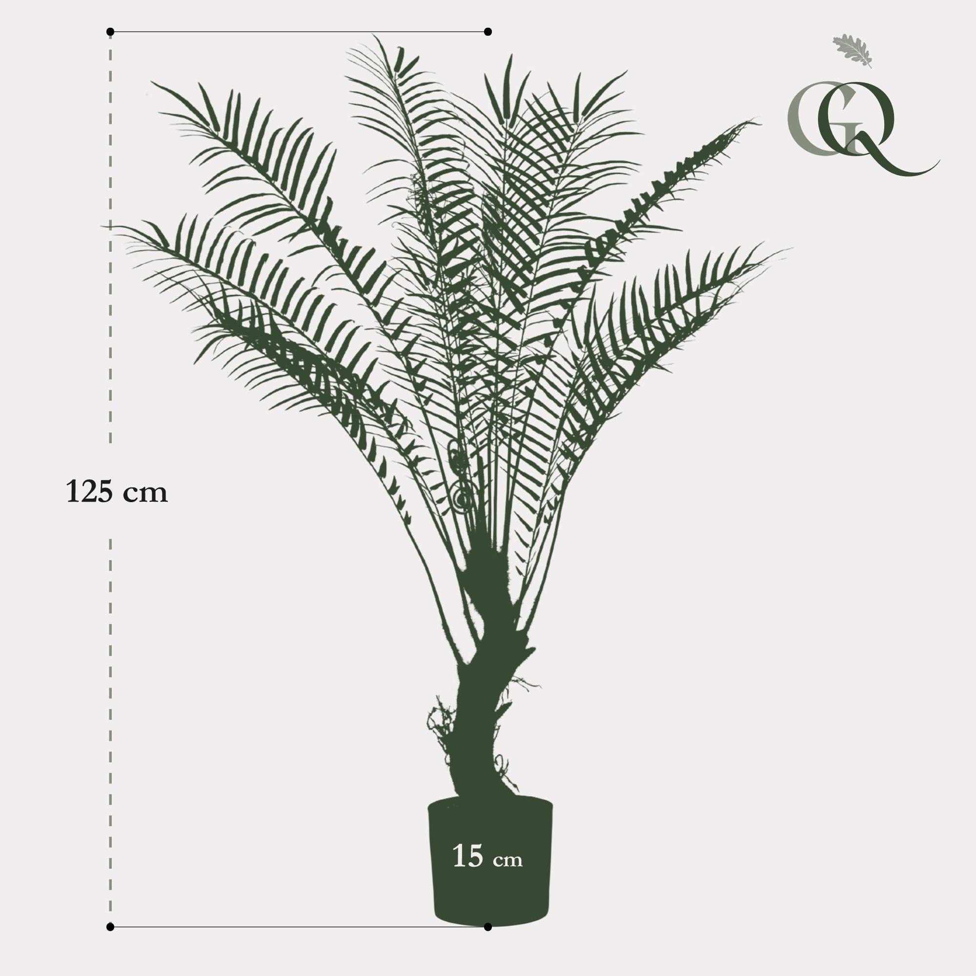 Künstliche Pflanze – Baumfarn – 15 Stück – 25 cm