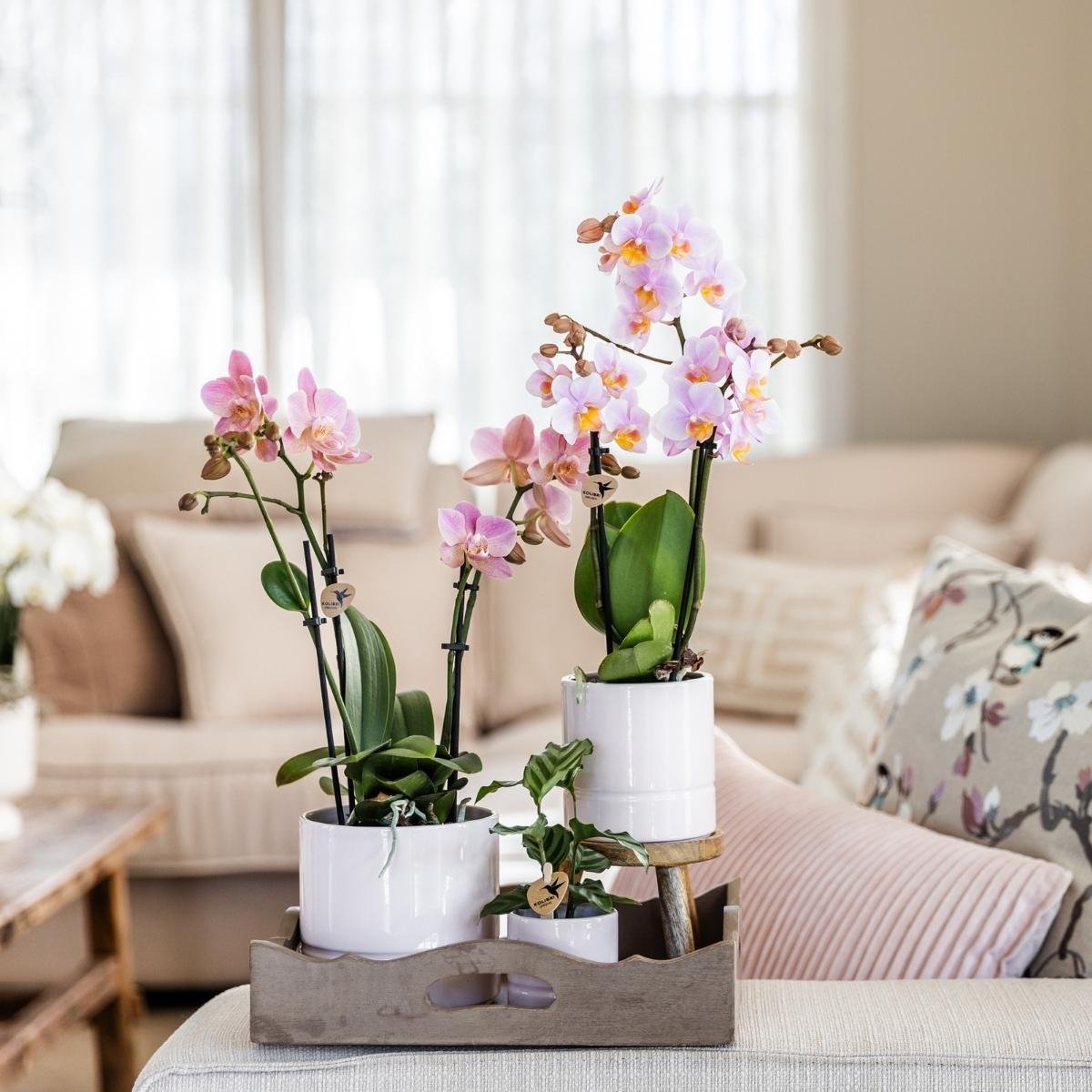 Kolibri Home | Pastel sierpot - Wit