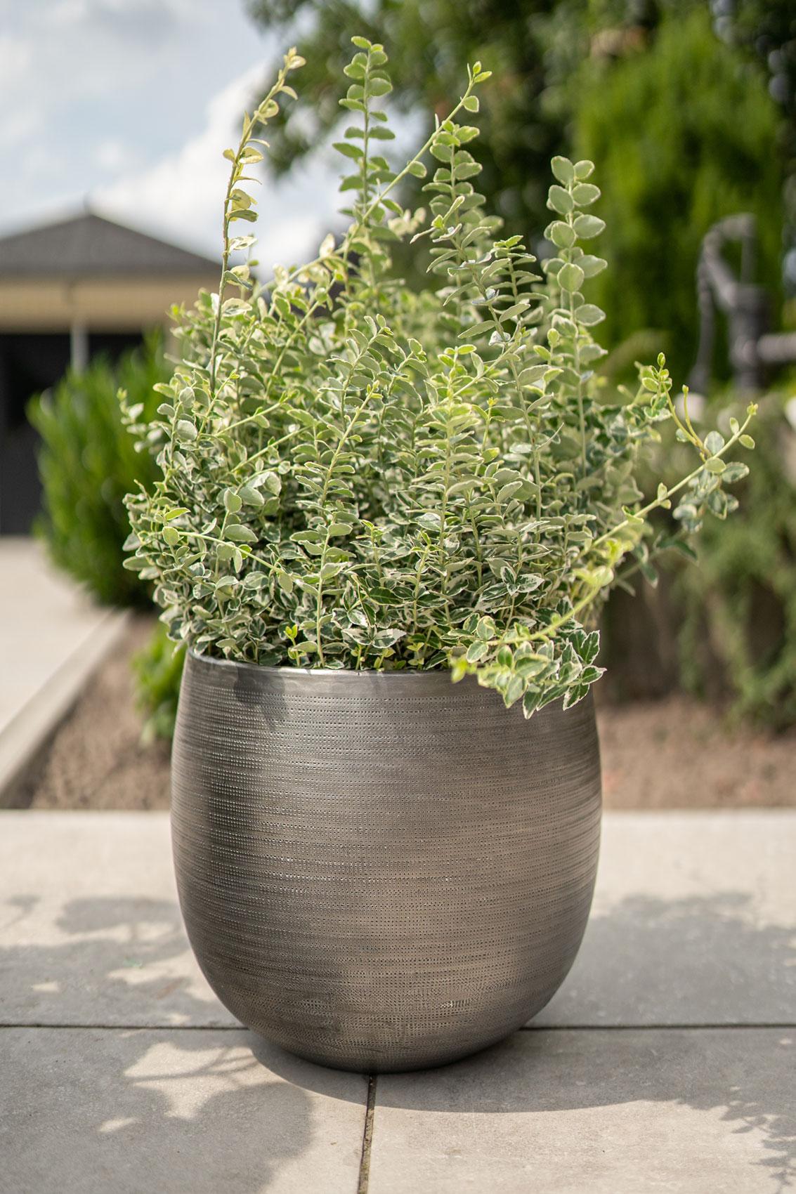 Juego de 5 piezas Rowen de aluminio color plata - Plata