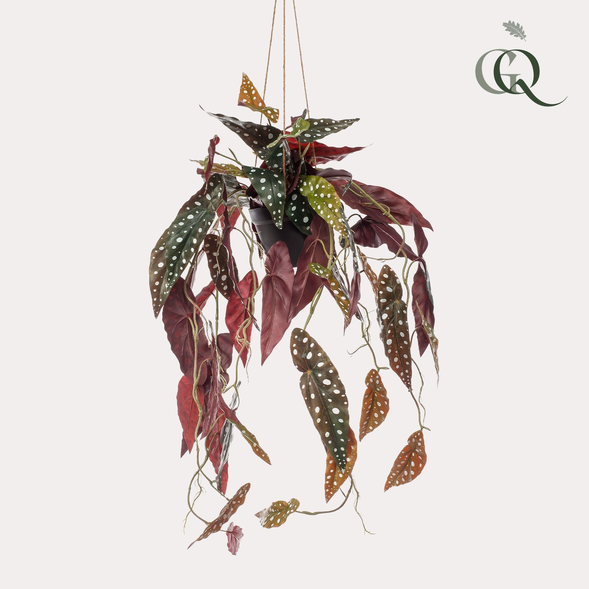 Pianta artificiale - Begonia Maculata - Begonia punteggiata - 80 cm