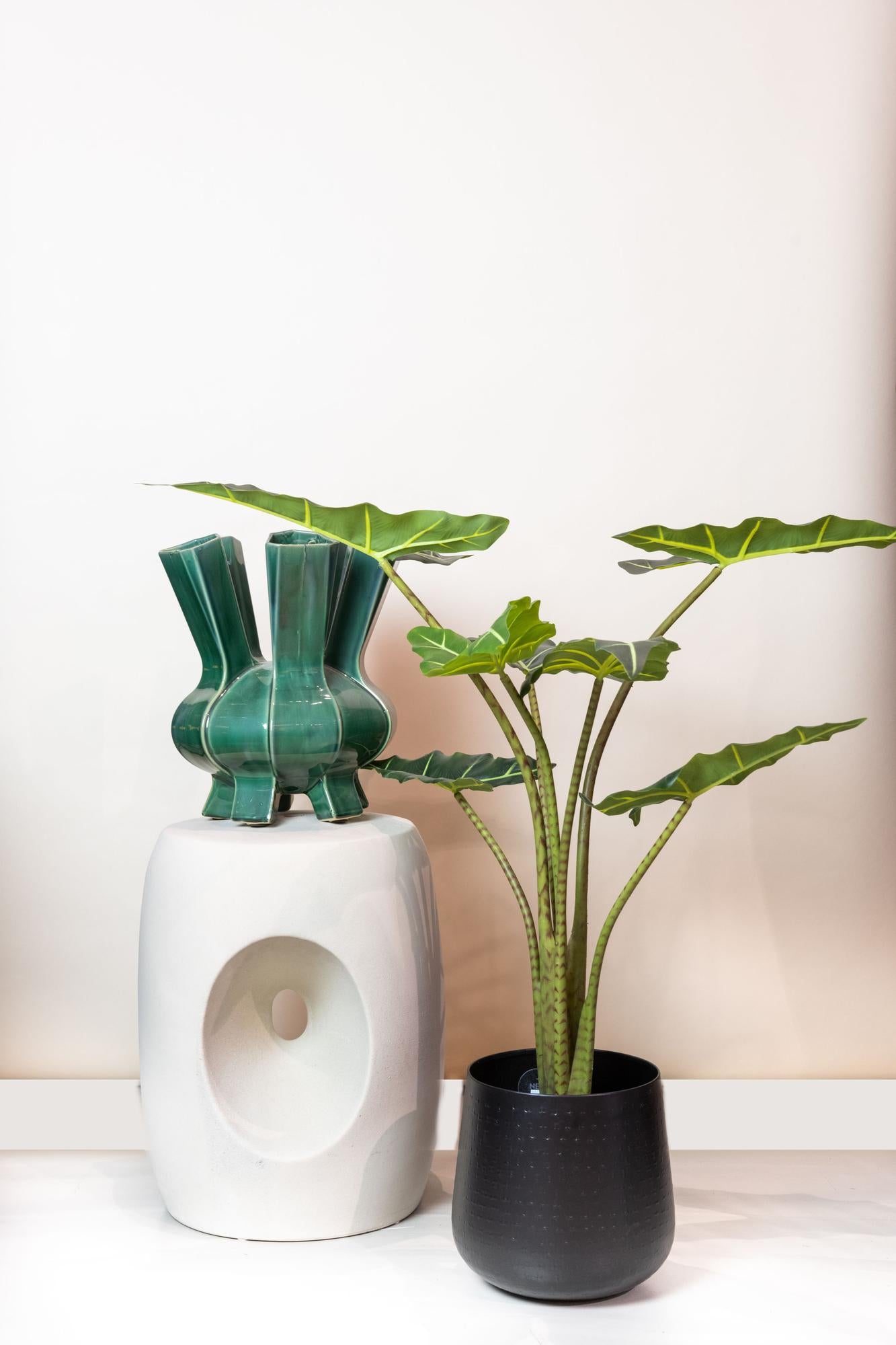 Artificial plant - Alocasia Frydek - Elephant Ear - 80 cm