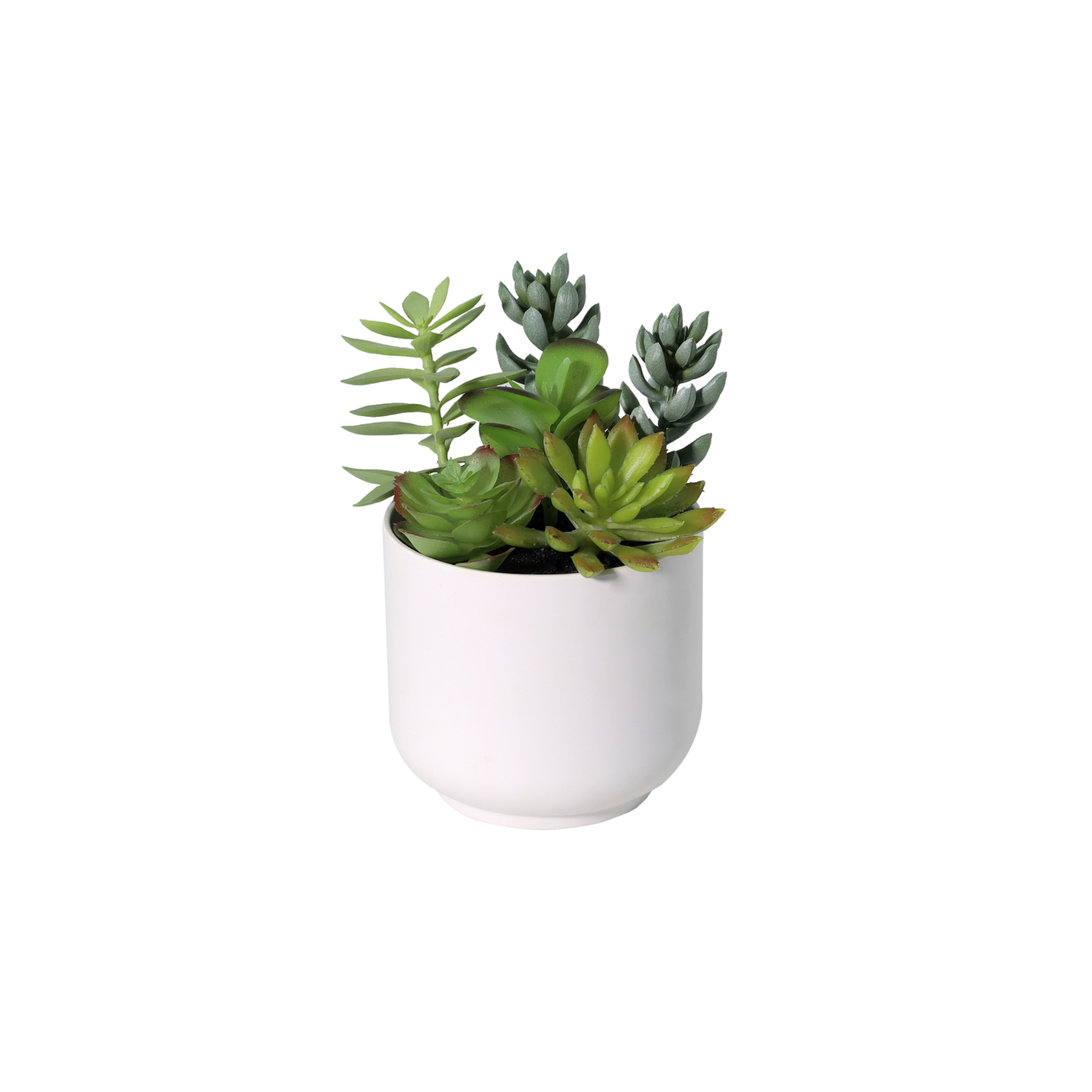 Kunstplant Vetplant including white pot - 19cm