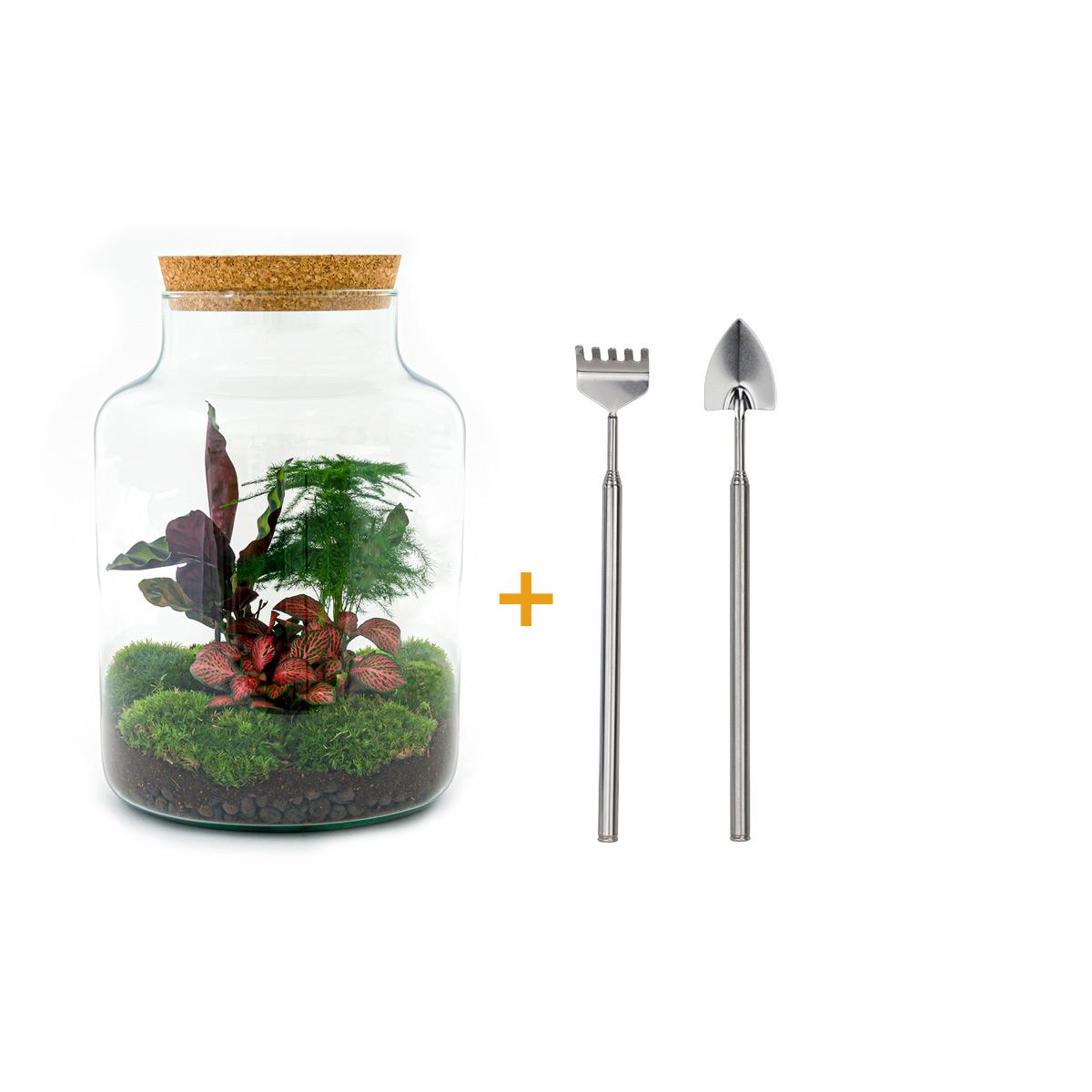 DIY-Terrarium - Milchig - ↕ 30 cm - Rechen + Schaufel