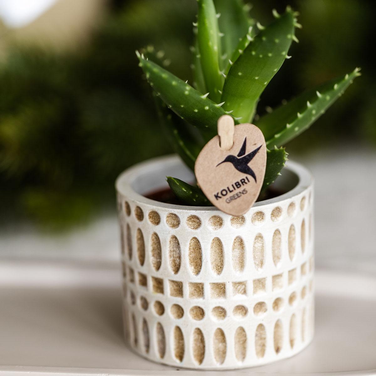 Pot décoratif mosaïque Kolibri Home - Ø6cm