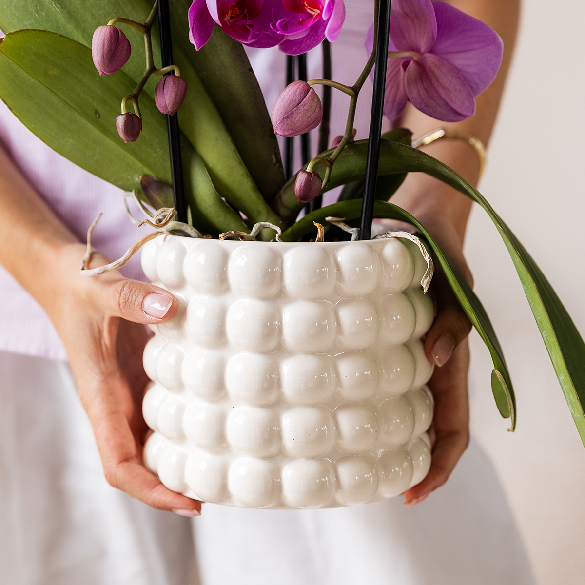 Kolibri Orchids | Witte Amabilis orchidee cadeauset - incl. giftbox, orchidee & sierpot - Ø9cm
