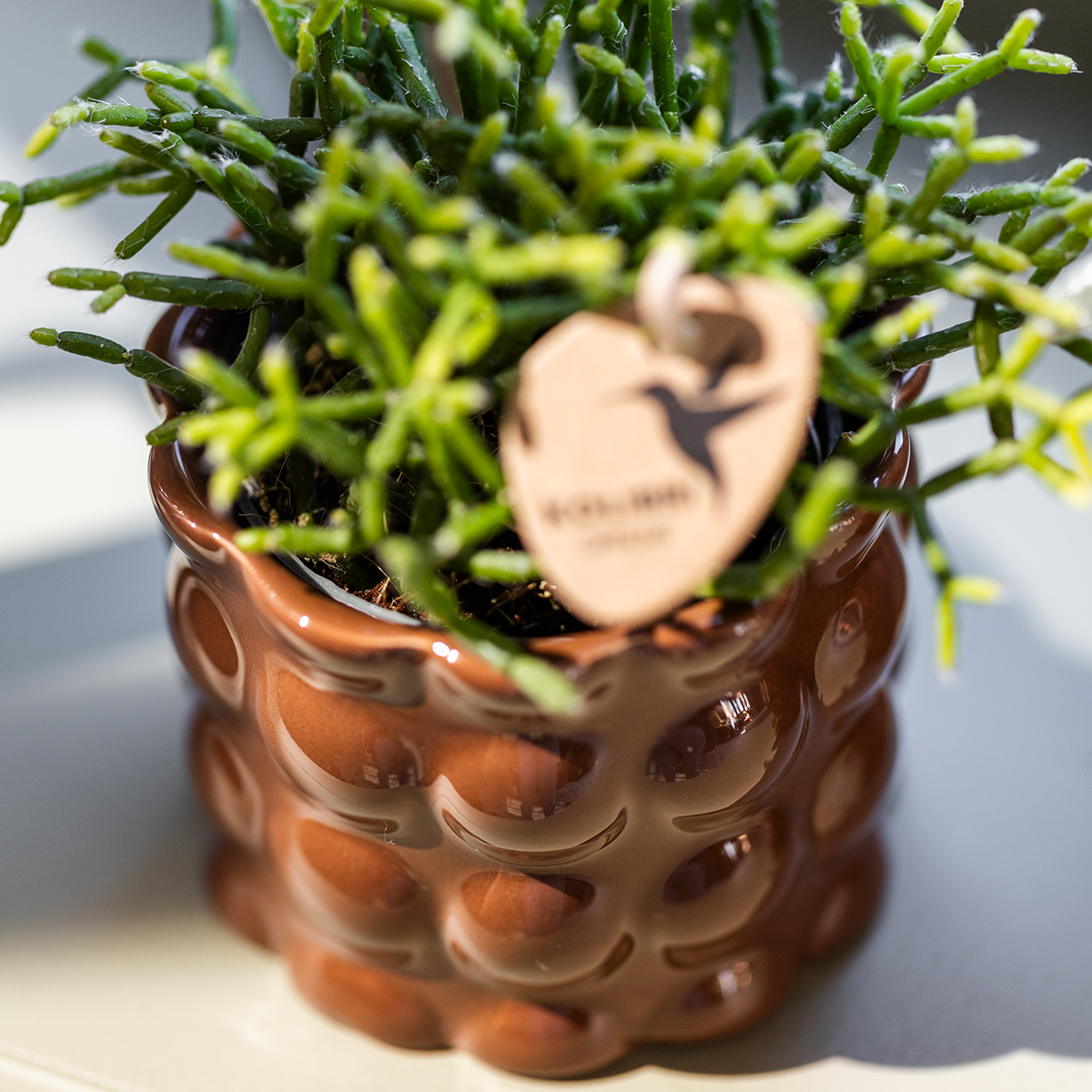 Kolibri Home | Cotton Shine sierpot - Brown - Ø12cm