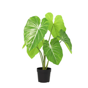 Kunstplant - Philodendron  - 100cm
