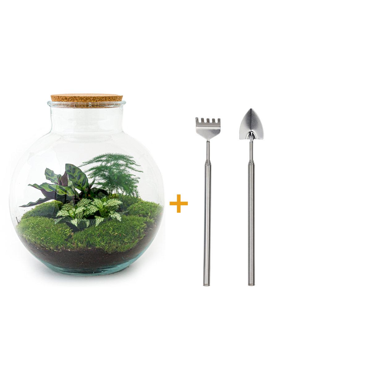 Terrario casero - Bolder Bob - ↕ 30 cm - Rastrillo + Pala