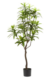 Pianta artificiale - Dracaena - Albero del drago - 130 cm